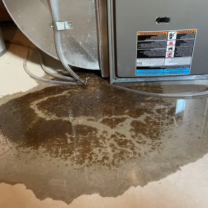 Pipe Burst and Leak Restoration in Rochester, NY